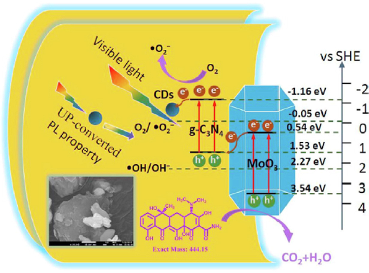 Proposed mechanisms for the photocatalytic elimination of TC under visible light over the CDs/g-C3N4/MoO3 composites. ().