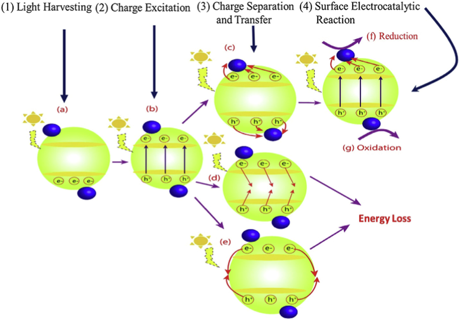 Fundamental principles of photocatalysis depicting (a) Harvesting of light (b) Charge carrier excitation (c) separation of charges and transfer (d) recombination of charges (e) surface charge recombination, (f) surface reduction reactions, and (g) surface oxidation reactions. ().