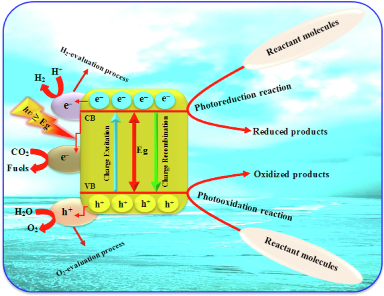 A schematic diagram demonstrating semiconductor-mediated photocatalytic processes. ().