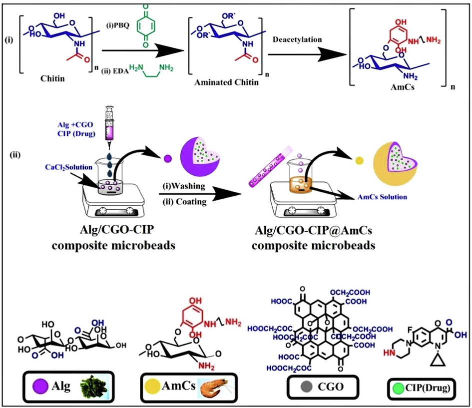 (i) Proposed scheme the preparation of AmCs and (ii) formulation process of core–shell Alg/CGO@AmCs composite microbeads.