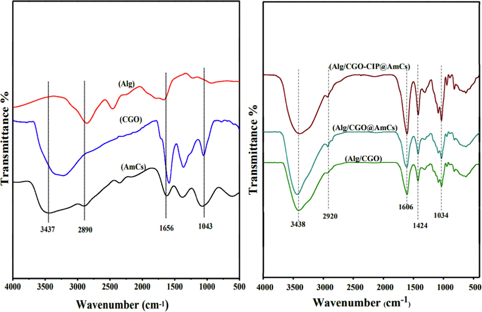 FTIR spectra of AmCs, CGO, Alg, Alg/CGO, Alg/CGO@AmCs and Alg/CGO-CIP@AmCs composite microbeads.