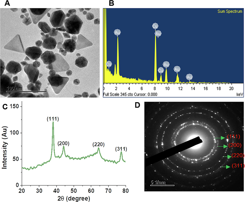 DK-AuNPs physicochemical characterization. (A) Transmission electron microscopy (TEM) picture was used for determining the morphological properties of DK-AuNPs. (B) Energy-dispersive X-ray (EDX) spectrum. (C) X-ray diffraction (XRD) spectrum for crystalline structure determination. (D) A TEM image of selected area electron diffraction (SAED) was used for determining the crystalline structure of DK-AuNPs.