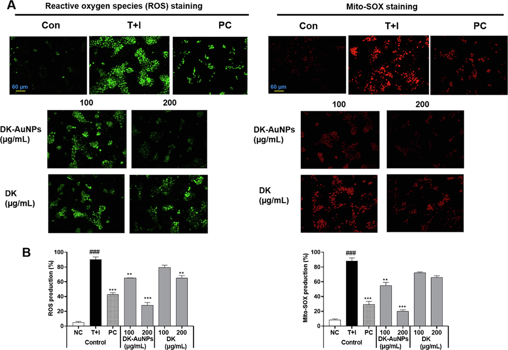 (A) Fluorescence microscopic images of DK-AuNPs and DK treated HaCaT cells stained for reactive oxygen species (ROS) and Mito-SOX. (B) Results were quantified using the Image J software. Asterisks in the column indicate significant differences between sample and control *, #, p < 0.05; **, ##, p < 0.01; ***, ###, p < 0.001; ns, not significant.