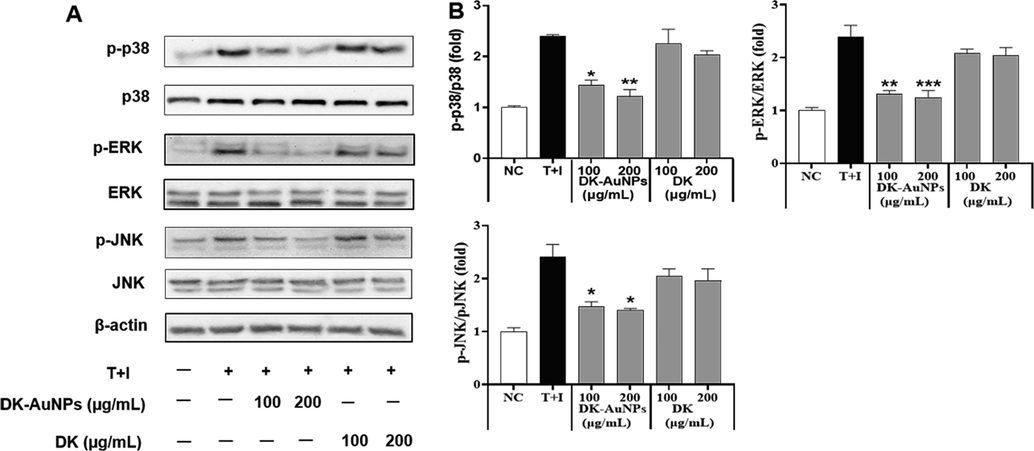 Effect of DK-AuNPs on the expression of mitogen-activated protein kinase (MAPKs) in TNF-α/IFN-γ-stimulated HaCaT cells. (A) Protein expression of p38, ERK, and JNK phosphorylation in HaCaT cells was detected by western blotting. (B) Results were quantified using the Image J software. Asterisks in the column indicate significant differences between sample and control *, #, p < 0.05; **, ##, p < 0.01; ***, ###, p < 0.001; ns, not significant.