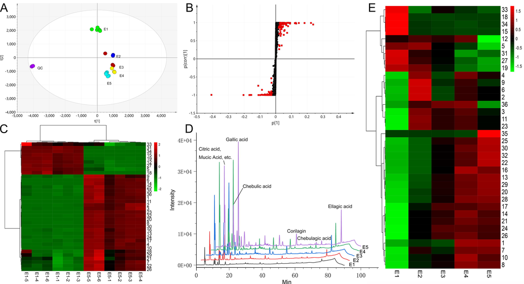 Analysis results of differential markers, A. PCA results, B S-plot, C difference marker heat map, D, HPLC chromatogram at different extraction times, E. change trends of differential markers.