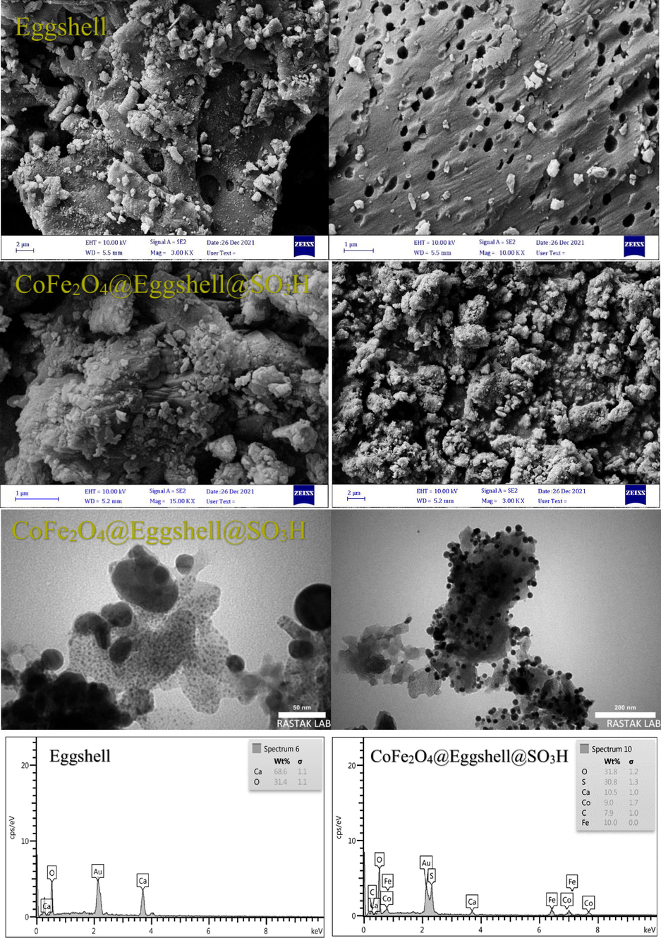 FESEM, TEM, and EDX images of eggshell, and CoFe2O4@Eggshell@SO3H nanocomposite.