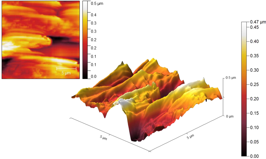 2D and 3D images of AFM analysis of CoFe2O4@Eggshell@SO3H nanocomposite.