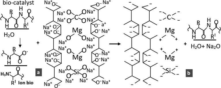 Coagulation due to bio-catalyst. a) reactant. b) product.