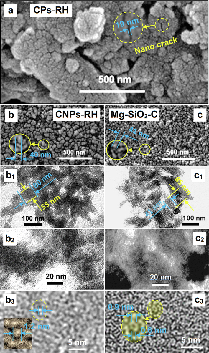 The role of Carica papaya latex bio-catalyst in synthesizing CPs-RH. (a) SEM of CPs-RH, (b) SEM of CNPs-RH, (c) SEM of Mg-SiO2-C, (b1-b3) TEM of CNPs-RH, (c1-c3) TEM of Mg-SiO2-C.