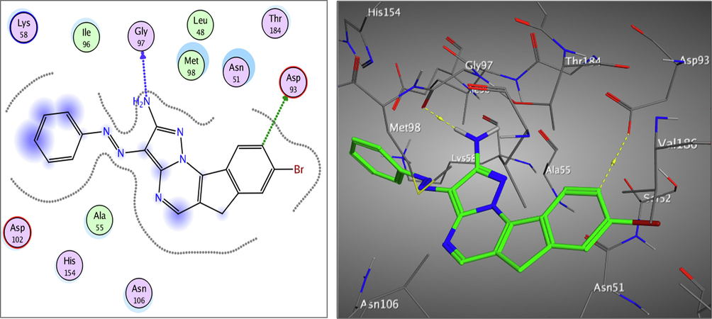 The 2D and 3D proposed binding modes of 8a inside Hsp90 receptor active site.