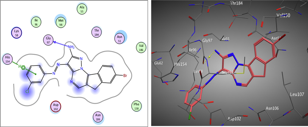 The 2D and 3D proposed binding modes of 8c inside Hsp90 receptor active sit.