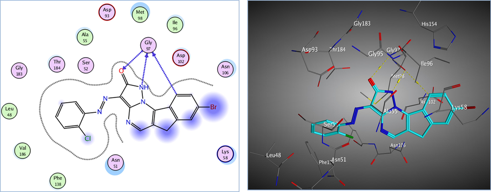 The 2D and 3D proposed binding modes of 17a inside Hsp90 receptor active site.