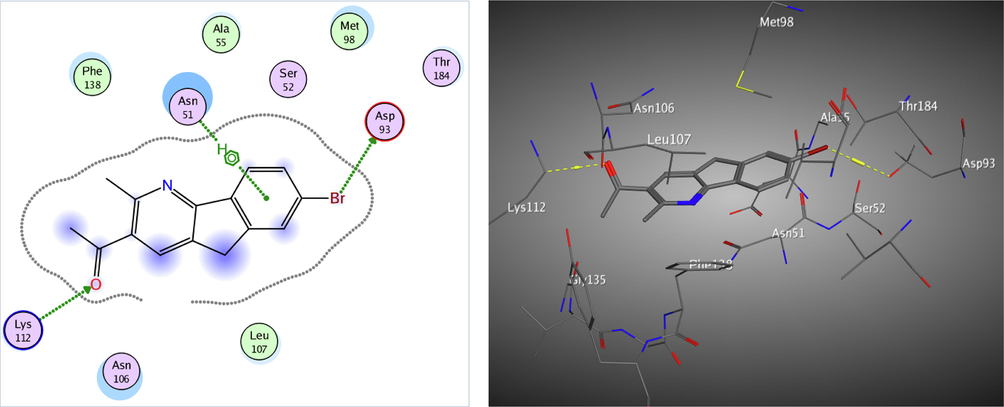 The 2D and 3D proposed binding modes of 25 inside Hsp90 receptor active site.