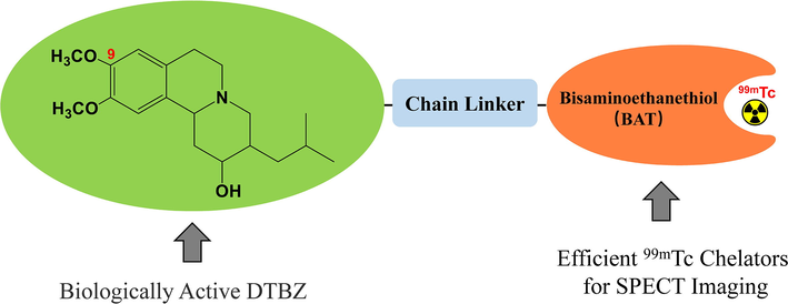 Design of technetium-99m-labelled DTBZ.