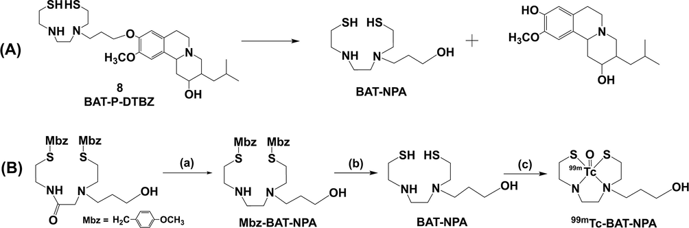 (A) The hypothetical degradation route of compound 8. (B) Preparation of 99mTc-BAT-NPA. (a) 1 M Borane-THF, 80 °C, overnight. (b) TFA, anisole, methanesulfonic acid, 0 °C to room temperature, 1 h. (c) Na99mTcO4, GH, SnCl2·2H2O, EDTA-2Na, citric acid-sodium citrate buffer solution, 100 °C, 30 min.