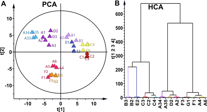 Impurity phenotypic differentiation using PCA and HCA. (A) PCA compared impurities difference in different samples. (B) HCA compared impurities difference in different samples.