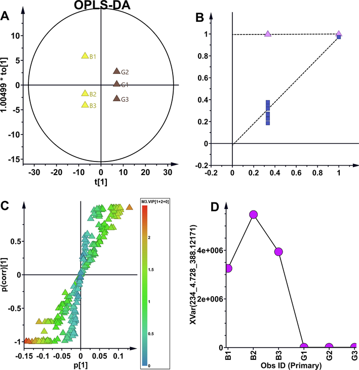 OPLS-DA model screened differential impurities. (A) Scatter diagram of OPLS-DA model (R2Y = 0.995 and Q2Y = 0.972 for the OPLS-DA model). (B) OPLS-DA model was validated by permutation test (n = 200). (C) s-plot of OPLS-DA model. (D) The distribution map of the maximum differential impurity of EP1.