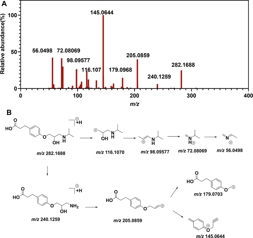 Mass spectrometry characterized EP1. (A) MS/MS spectrometry of EP1 (B) Mass fragmentation pathway of EP1.