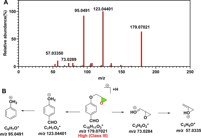 Mass spectrometry characterized EP20 and genotoxicity prediction. (A) MS/MS spectrometry of EP20. (B) Mass fragmentation pathway of EP20.