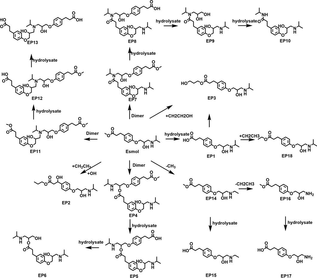 The impurity degradation pathway of esmolol.