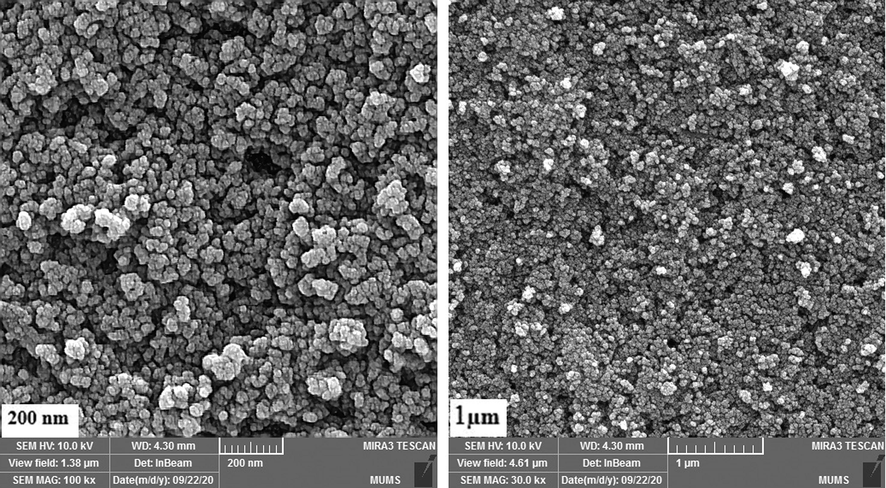 SEM images of the Fe3O4 nanoparticles synthesized by ultrasonic method.