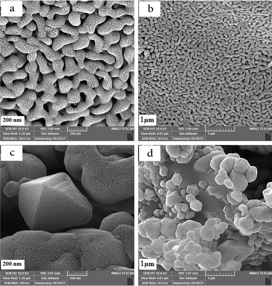 SEM images of the ErFeO3 nanoparticles provided in the presence of two fuels: (a,b) sucrose and (c,d) Sugar beet at 800 °C for 5 h.