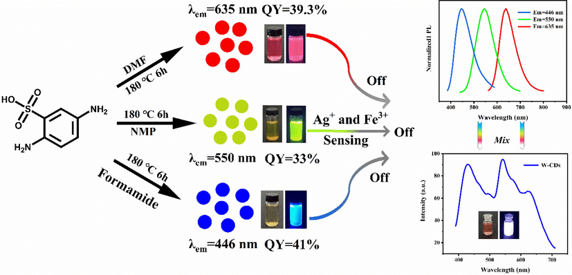 Schematic synthesis and detection of the RGB-CDs.