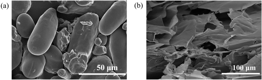 The SEM images of lotus root powder before (a) and after cross-linking (b), respectively.