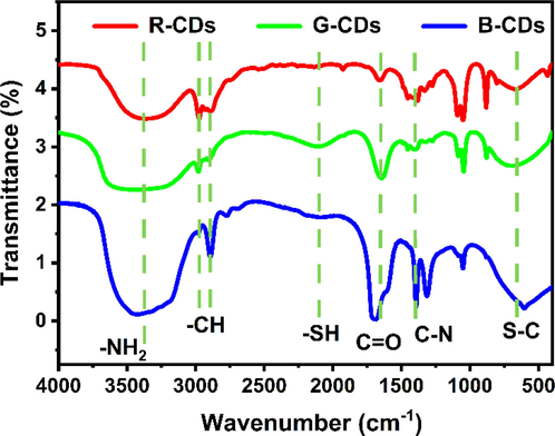 The FTIR spectra of B-CDs, G-CDs and R-CDs.