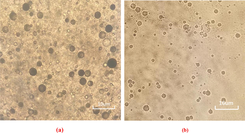 Microscopic view of the OPME after dilution in water and 3# white oil respectively.