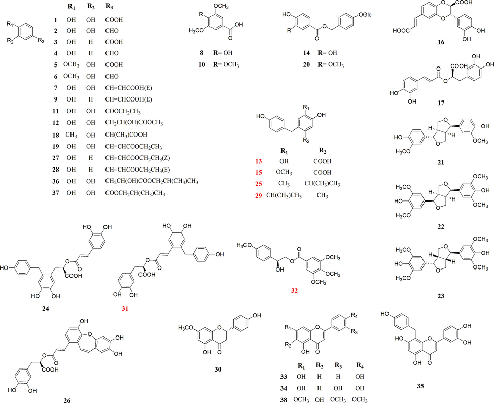 Chemical structure of all compounds (1–38) from A. capillaris aerial parts.