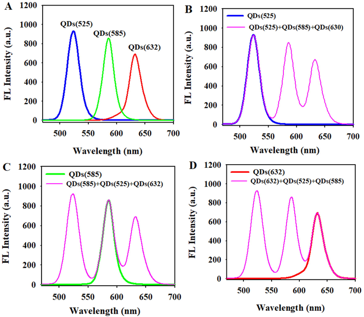 (A)The emission fluorescence spectra of pure QDs(5 2 5), QDs(5 8 5) and QDs(6 3 2). (B)-(D) Comparison of the fluorescence intensity of a single QDs and that of mixture QDs.