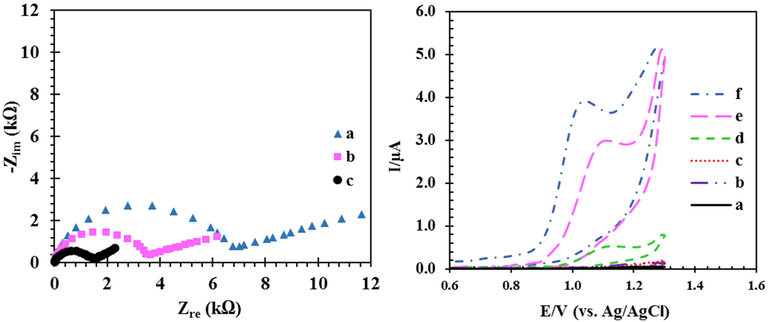 Left: Nyquist diagram CPE (a), RO nanoclay/CPE (b), and RDZRONCs/CPE (c) and inset is equivalent circuit fitted with impedance data, at the solution containing 1 mM of Fe2+/Fe3+ redox and 0.1 M KCl, right: CVs for CPE, RO nanoclay/CPE and RDZRONCs/CPE, (a-c) in buffer solution, (d-f) buffer solution with 5-FU. Conditions: 100 µM 5-FU, 0.1 M PBS at pH 8.