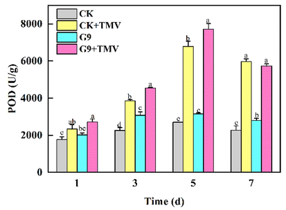 Changes of POD activity in tobacco leaves treated with G9.