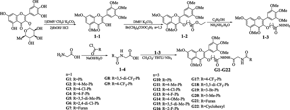 Synthetic route of target compounds G1−G22.