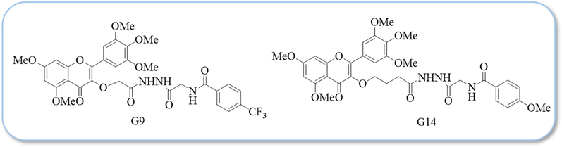 The structural formulas of compounds G9 and G14.