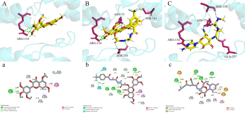 Molecular docking of myricetin, G9 and ningnanmycin to TMV-CP. myricetin (A, a), G9 (B, b), ningnanmycin (C, c).