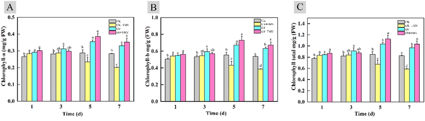 Changes of chlorophyll content in tobacco leaves treated with G9. (A: Chlorophyll a; B: Chlorophyll b; C: the total chlorophyll).