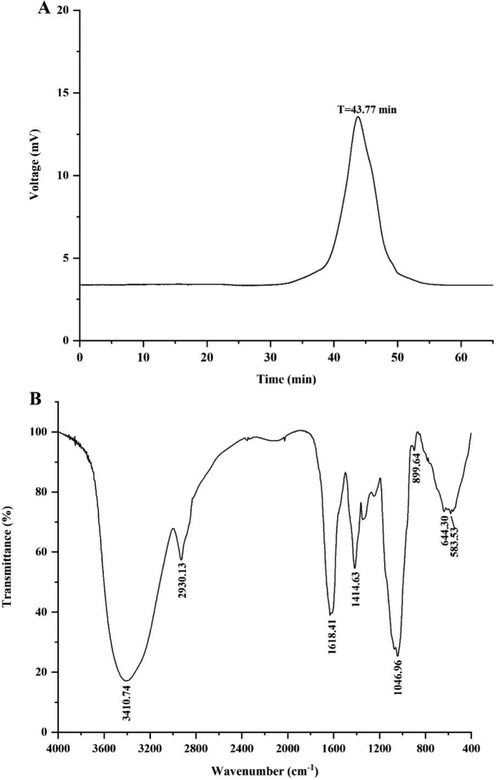 HPGPC Chromatogram (A) and FT-IR spectrum (B) of PCAPS1.