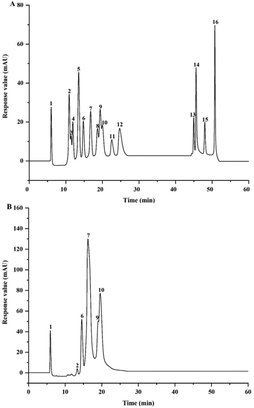 Ion chromatogram of the standard monosaccharides (A) and PCAPS1 (B). 1: Fuc, 2: GalN, 3: Rha, 4: Ara, 5: GlcN, 6: Gal, 7: Glc, 8: GlcNAc, 9: Xyl, 10: Man, 11: Fru, 12: Rib, 13:GalA, 14:GulA, 15: GlcA, 16: ManA.