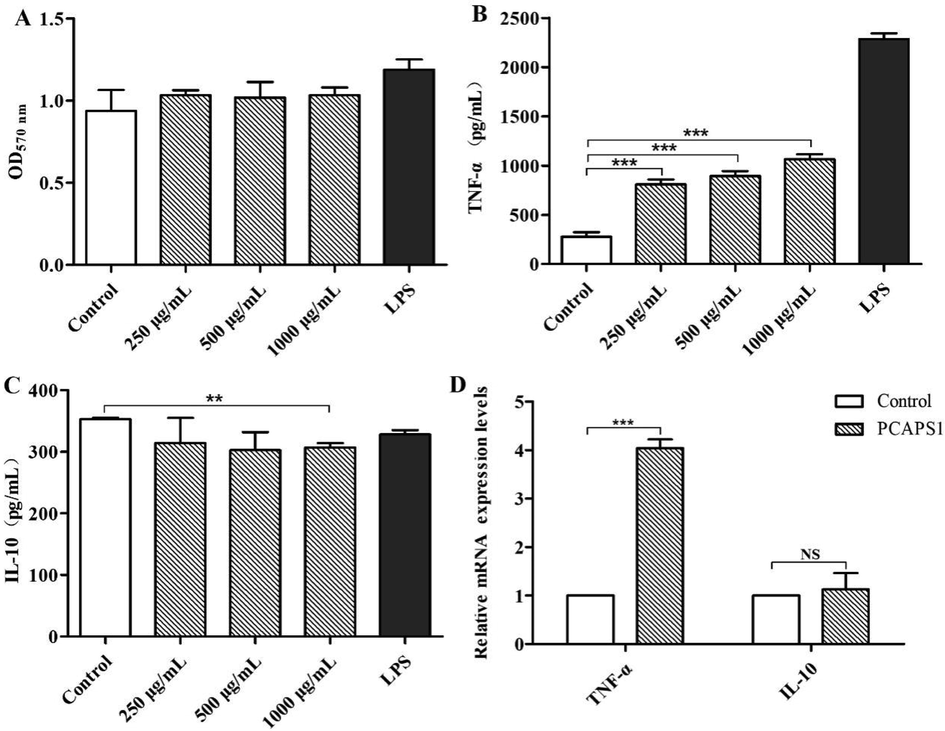 Effects of PCAPS1 at different concentrations on RAW264.7 cells: Effects on cell proliferation (A). TNF-α and IL-10 production (B and C). Effects on mRNA expression of TNF-α and IL-10 (D). (∗∗∗) P < 0.001, (∗∗) P < 0.01, and (∗) P < 0.05, compared with the control group.