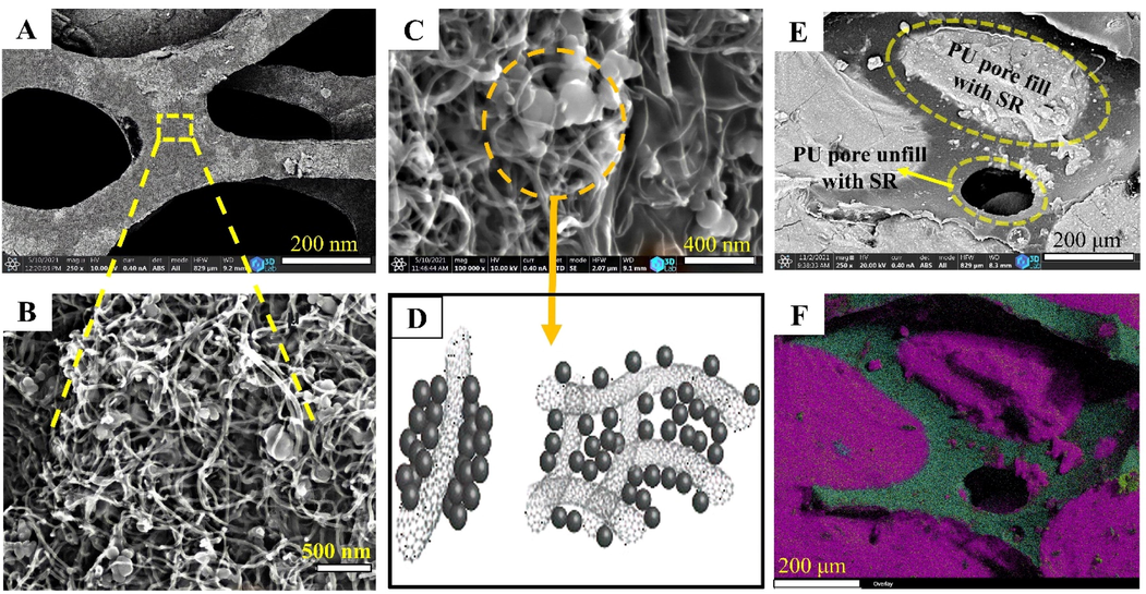 SEM image of the dispersed N-BCNT:CB on the PU skeleton (A,B), nanofiller coating of PU and the grape-cluster-like model of the hybrid N-BCNT:CB nanofiller (C,D), cross section and elemental mapping of the N-BCNT:CB/PU-SR sensor (E,F).