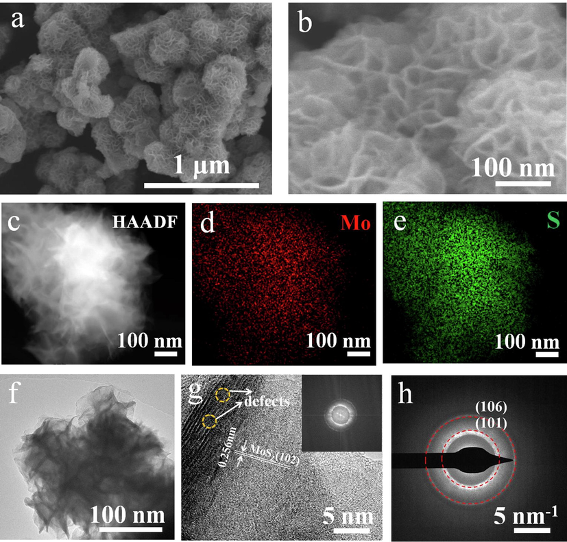 (a, b) SEM images of MoS2. (c-e) HAADF-STEM image and EDS element mapping of MoS2. (f) TEM image of MoS2. (g) HRTEM morphology of MoS2 and the corresponding FT patterns (inset). (h) SAED image of MoS2.