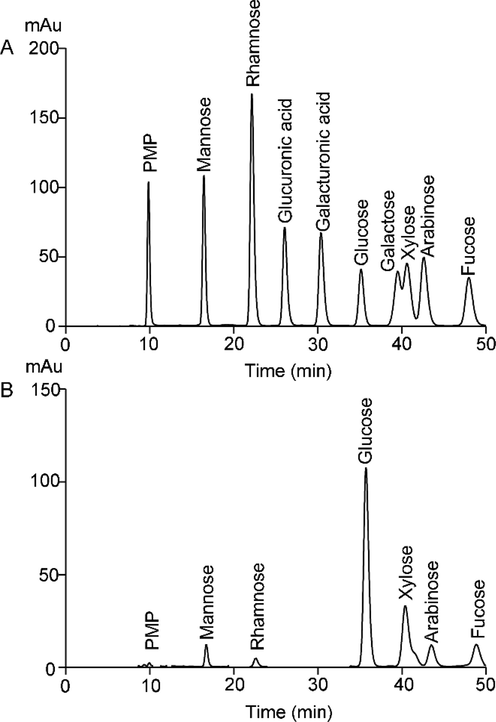 Monosaccharide composition of CBP50-1. (A) Standard monosaccharides. (B) Monosaccharides composition of CBP50-1.