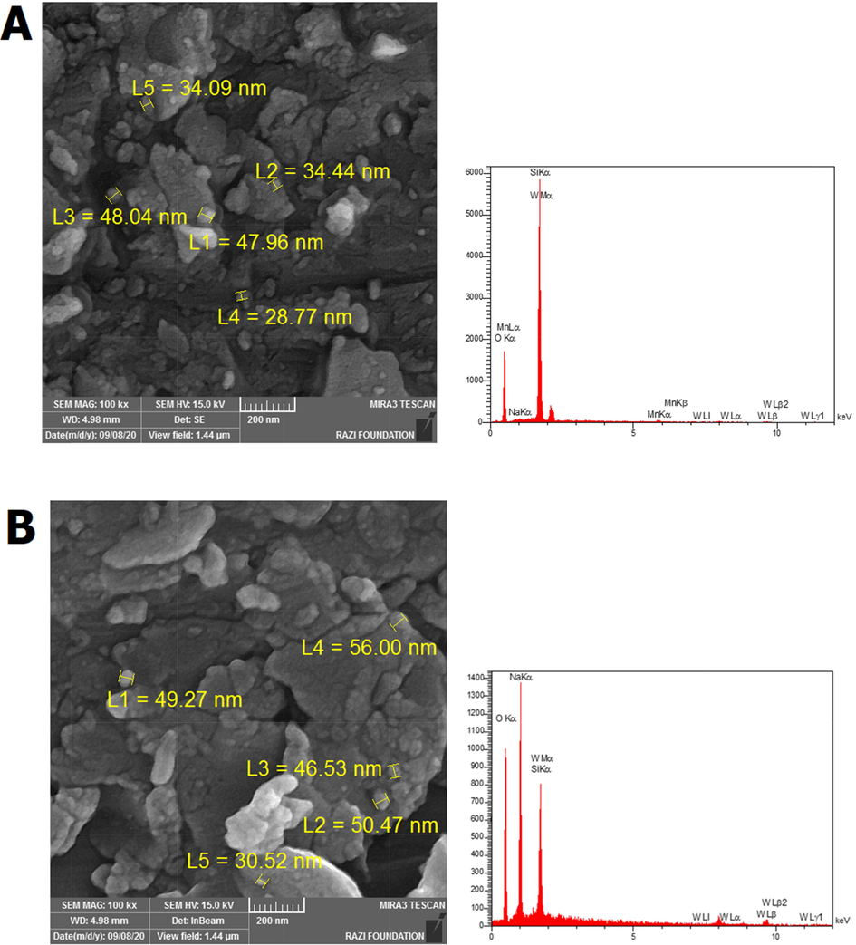 FE-SEM images and EDX graphs for all samples AS-2 (a), AS-3 (b), CS-1 (c), and CS-2 (d).