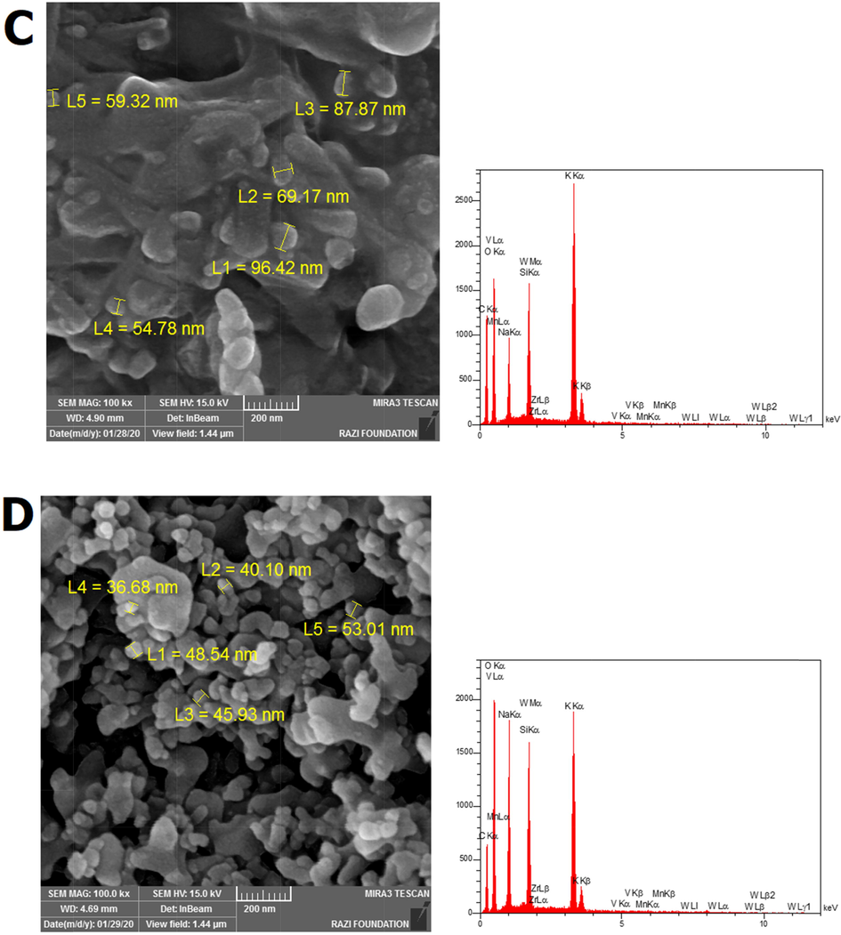 FE-SEM images and EDX graphs for all samples AS-2 (a), AS-3 (b), CS-1 (c), and CS-2 (d).