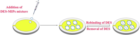 The diagram of DES molecularly imprinted QCM electrode construction.