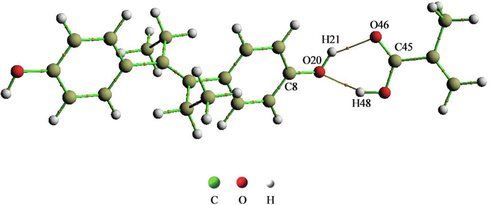 Molecular diagram of DES-MAA prepolymer (1:1).