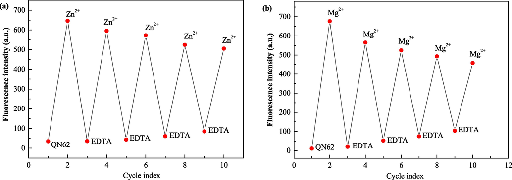 (a) Reversible changes in fluorescence intensity of QN62- (20 μM) at 532 nm upon alternate addition of Zn2+ and EDTA in DMSO-H2O (4:1, v/v). (b) Reversible changes in fluorescence intensity of QN62 (20 μM) at 527 nm upon alternate addition of Mg2+ and EDTA in ethanol-H2O (9:1, v/v).