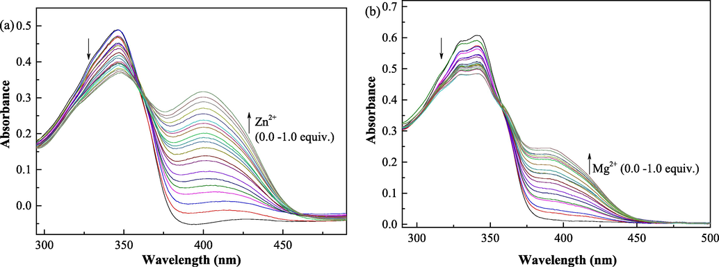 (a) Change in the absorption spectral of QN62 (20 μM) upon addition of Zn2+ (0–20 μM) in DMSO-H2O (4:1, v/v). (b) Change in the absorption spectral of QN62 (20 μM) upon addition of Mg2+ (0–20 μM) in ethanol-H2O (9:1, v/v).